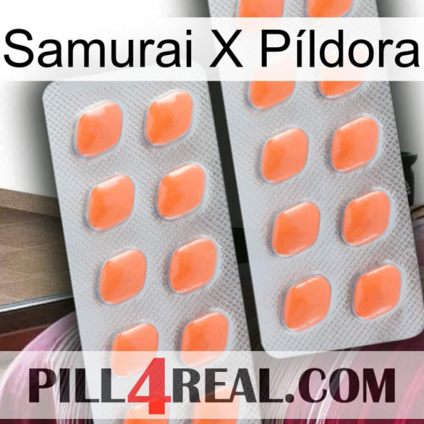 Samurai X Píldora 27.jpg